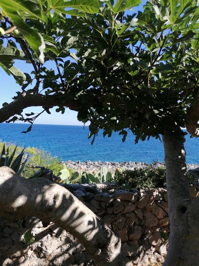 Villa Marigiosa Salento Marittima Dış mekan fotoğraf