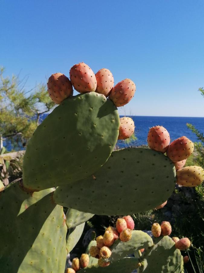 Villa Marigiosa Salento Marittima Dış mekan fotoğraf