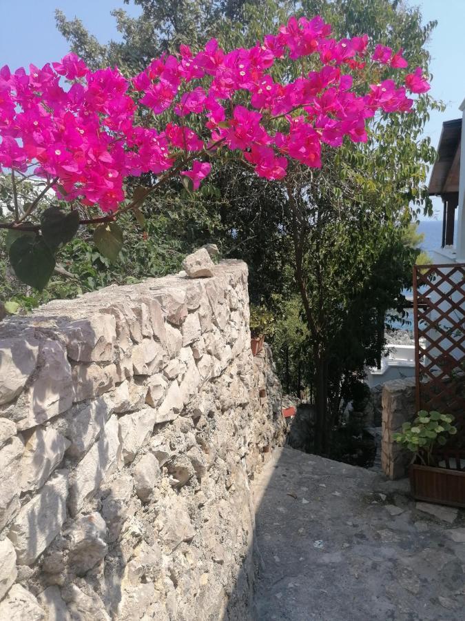 Villa Marigiosa Salento Marittima Dış mekan fotoğraf
